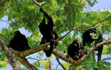 Greenway Nature Tours1400
