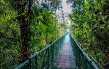 Greenway Nature Tours1404