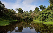 Greenway Nature Tours1447