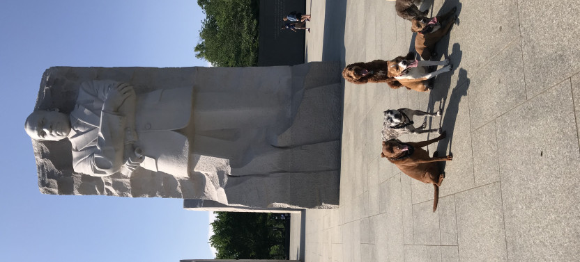 Private Washington Monuments Tour with US Veteran