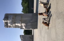 Private Washington Monuments Tour with US Veteran