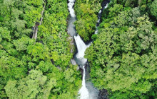 Greenway Nature Tours1469