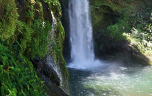Greenway Nature Tours1476