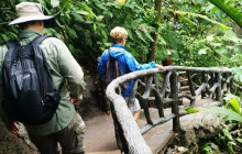 Greenway Nature Tours1477