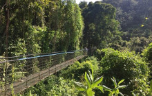 Greenway Nature Tours1496