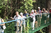 Greenway Nature Tours1498