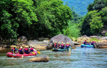 Greenway Nature Tours1547