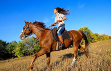 Greenway Nature Tours1551