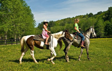 Greenway Nature Tours1553