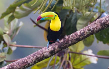 Greenway Nature Tours1567