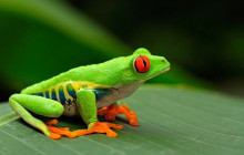 Greenway Nature Tours1571