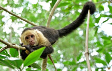 Greenway Nature Tours1573
