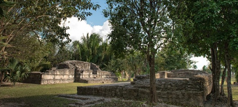 Shore Excursion: Chacchoben Mayan City Tour with Certified Guide