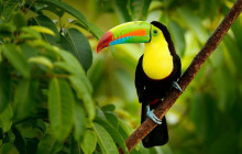 Greenway Nature Tours1580