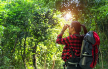Greenway Nature Tours1592