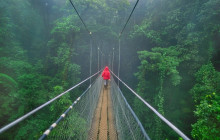 Greenway Nature Tours1653