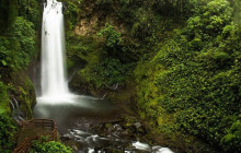 Greenway Nature Tours1659