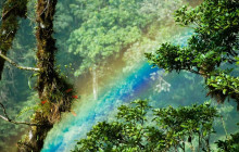 Greenway Nature Tours1662