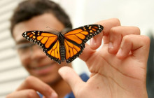 Greenway Nature Tours1679