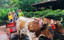 Greenway Nature Tours1682