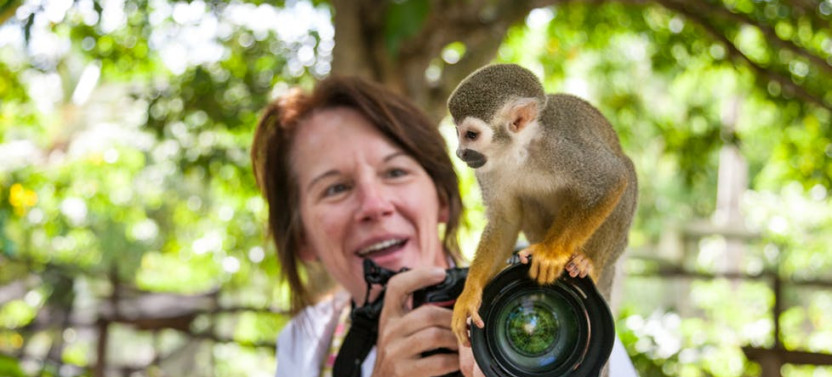 Zip Line & Monkeyland Adventure