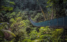 Greenway Nature Tours1715