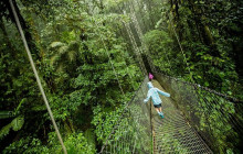 Greenway Nature Tours1717