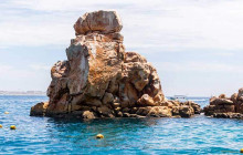 Cabo San Lucas Private Snorkeling