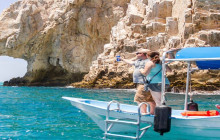 Los Cabos Arch Glass-Bottom Boat Tour