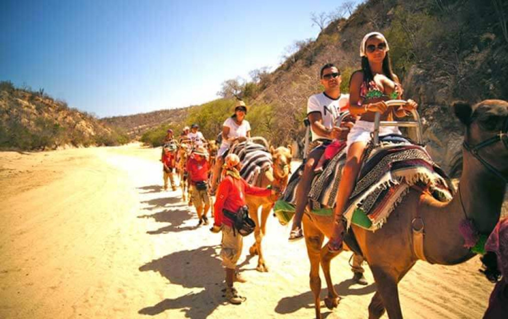 Los Cabos Camel Tour - Cabo San Lucas | Project Expedition