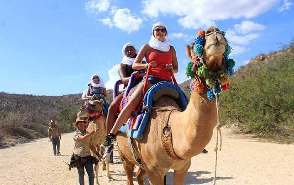 Los Cabos Camel Tour - Cabo San Lucas | Project Expedition