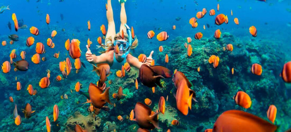 Cabo San Lucas Snorkeling Tour