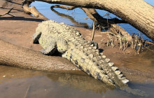Greenway Nature Tours1744