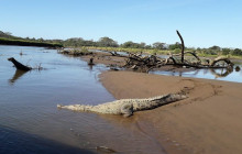 Greenway Nature Tours1747