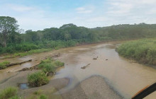 Greenway Nature Tours1754