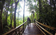 Greenway Nature Tours1781