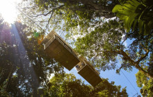 Greenway Nature Tours1783