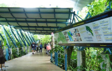 Greenway Nature Tours1791