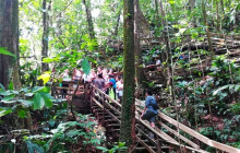 Greenway Nature Tours1793