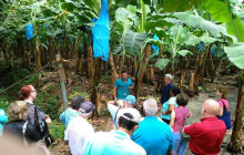 Greenway Nature Tours1811