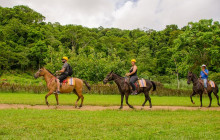 Greenway Nature Tours1861