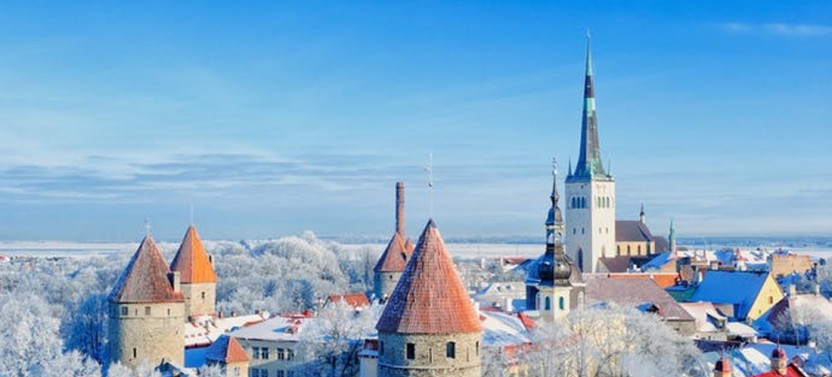 Tallinn Day Tour From Helsinki