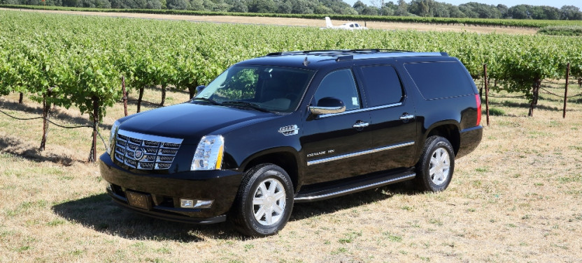 Private Customizable Wine Tour from San Francisco