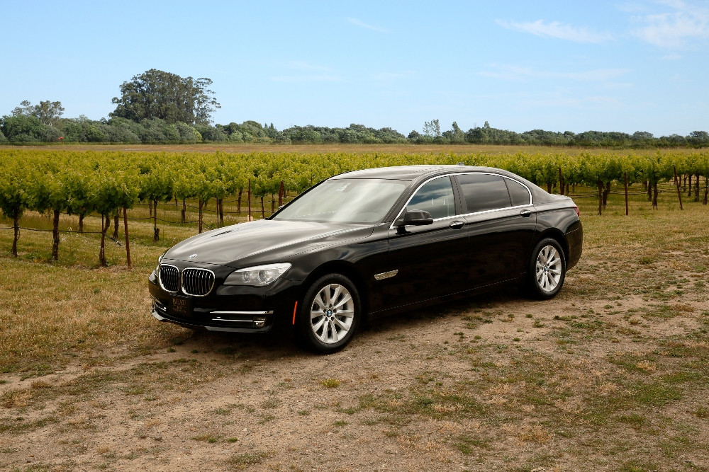 Private Customizable Wine Tour from Sonoma (Driver-Only)