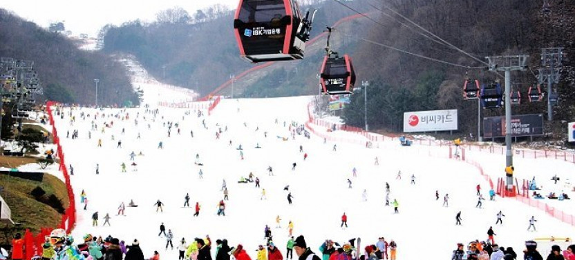 Korea One Day Ski Tour: Vivaldi Park & Elysian Gangchon