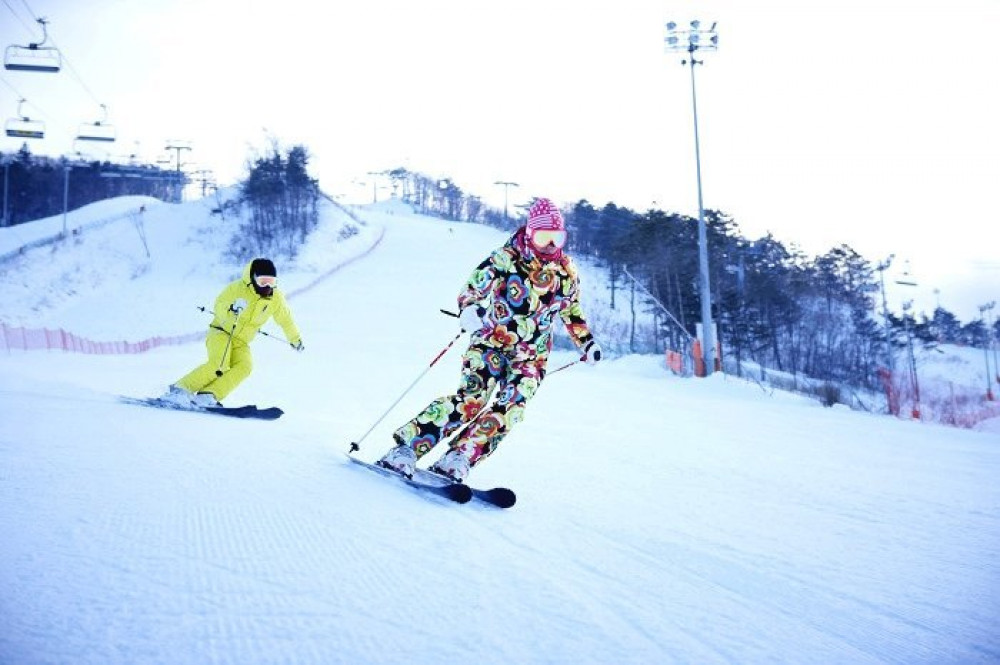 Korea One Day Ski Tour: Vivaldi Park & Elysian Gangchon