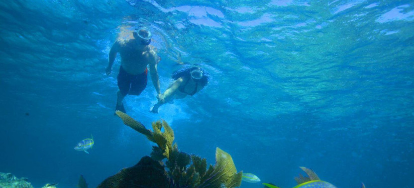 Afternoon Snorkel Trip: Reef & Ritas