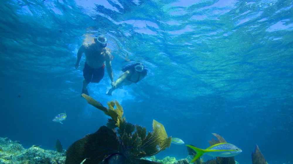 Afternoon Snorkel Trip: Reef & Ritas