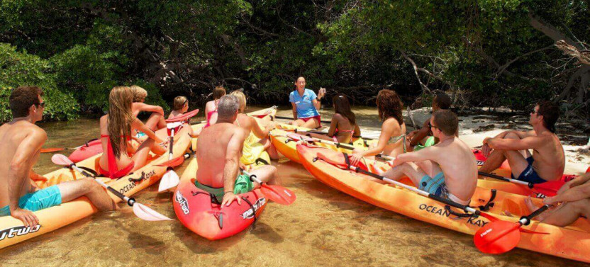 Island Adventure Eco Tour