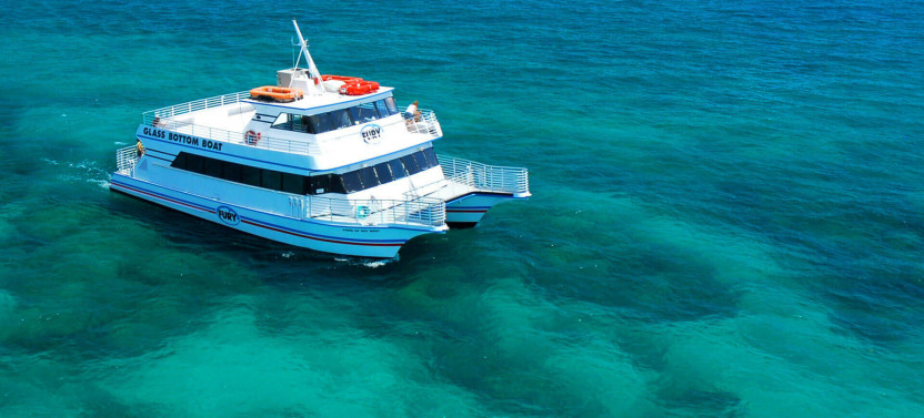 Glass Bottom Boat Reef Eco-Tour